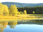 Wandern im Schwarzwald